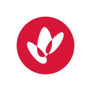 TSLA logo